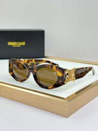 Picture of Roberto Cavalli Sunglasses _SKUfw75013240fw